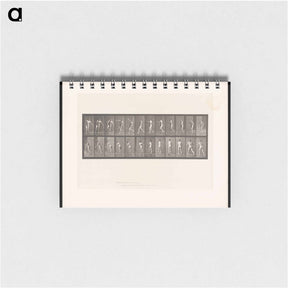 アートメモ帳-The Throw
 - エドワード マイブリッジ Memo.