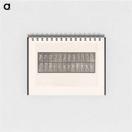 アートメモ帳-The Throw
 - エドワード マイブリッジ Memo.