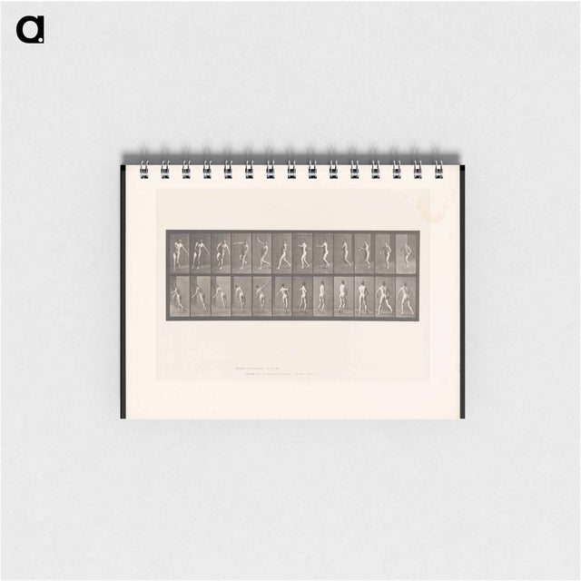 アートメモ帳-The Throw
 - エドワード マイブリッジ Memo.