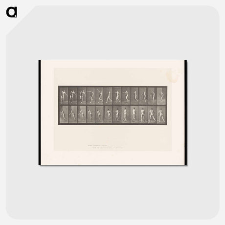 アートポストカード-The Throw
 - エドワード マイブリッジ Postcard.