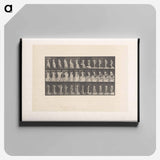 アートパネル-Undressing
 - エドワード マイブリッジ Canvas.