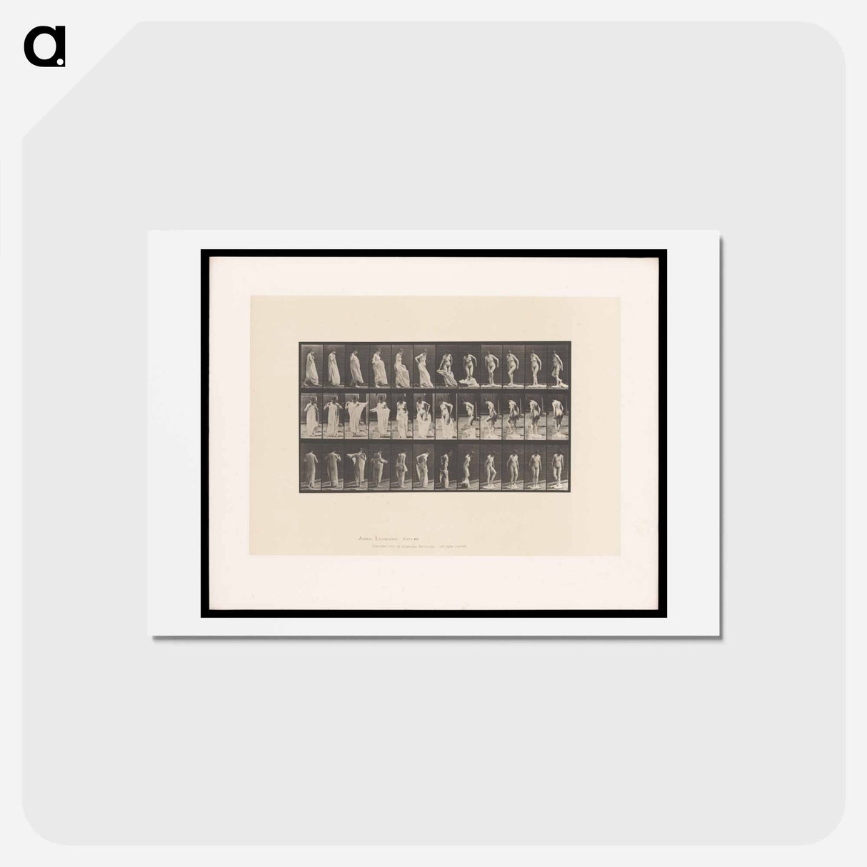 アートポストカード-Undressing
 - エドワード マイブリッジ Postcard.