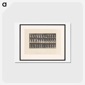 アートポストカード-Undressing
 - エドワード マイブリッジ Postcard.