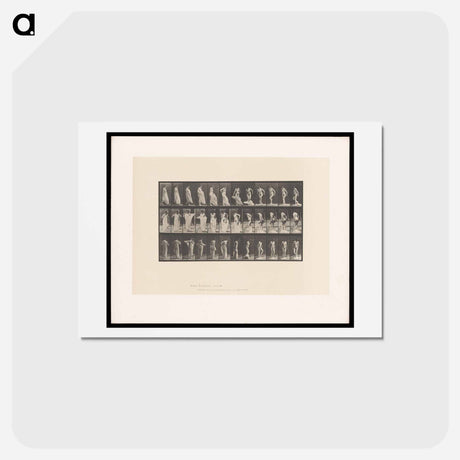アートポストカード-Undressing
 - エドワード マイブリッジ Postcard.