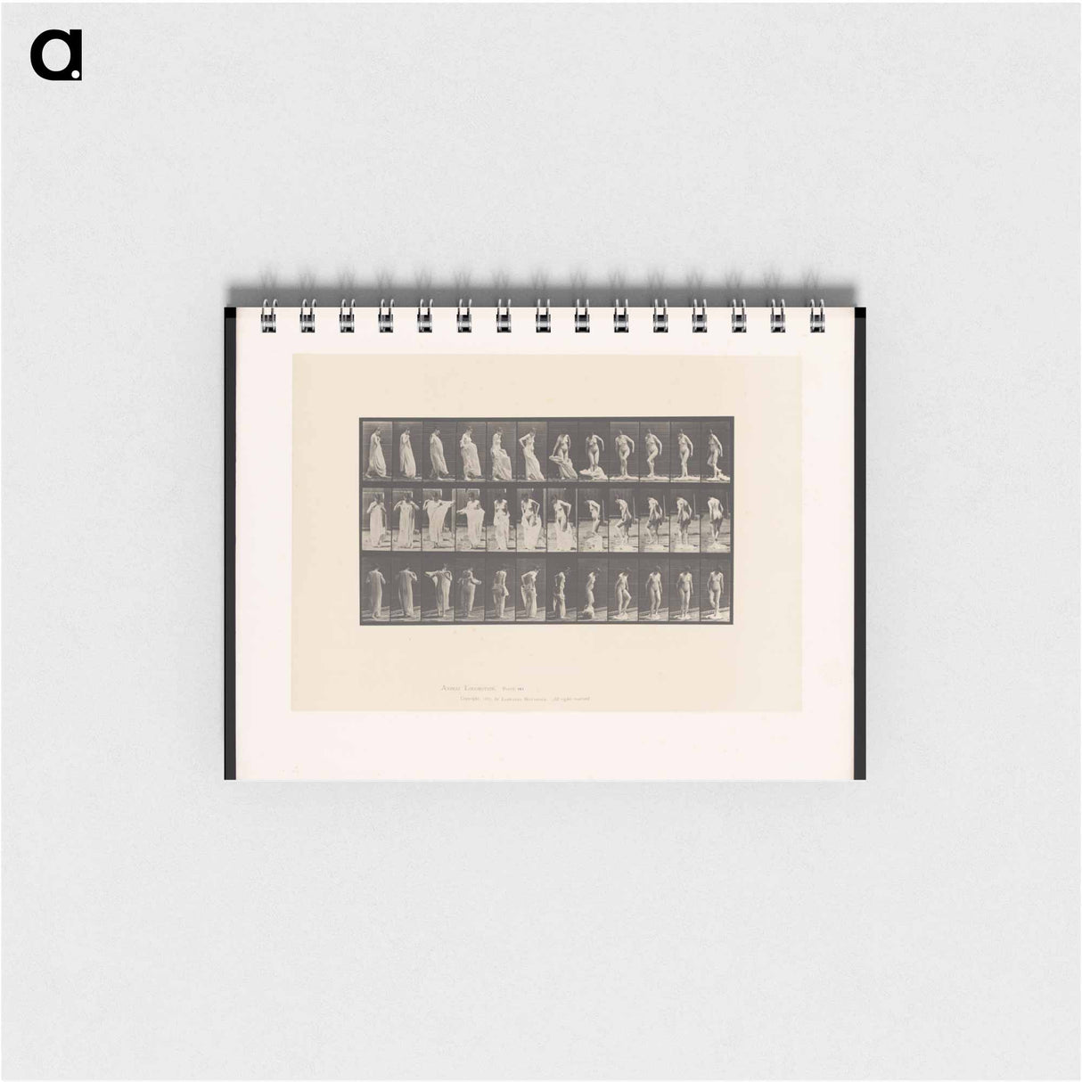 アートメモ帳-Undressing
 - エドワード マイブリッジ Memo.