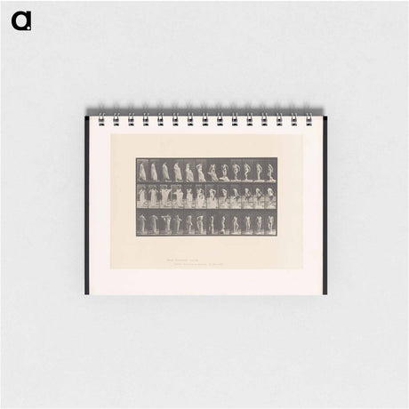 アートメモ帳-Undressing
 - エドワード マイブリッジ Memo.