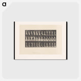 アートポストカード-Undressing
 - エドワード マイブリッジ Postcard.