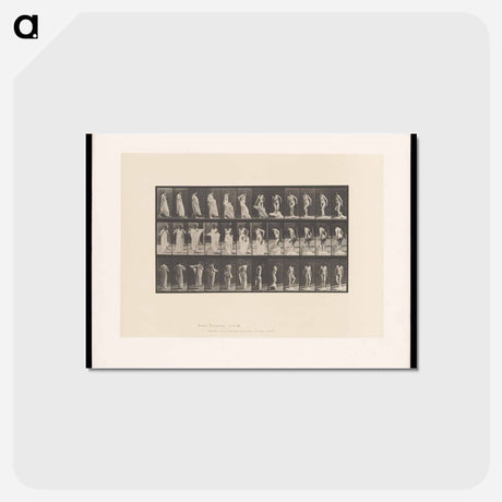 アートポストカード-Undressing
 - エドワード マイブリッジ Postcard.