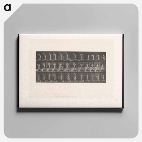 アートパネル-Woman Bathing
 - エドワード マイブリッジ Canvas.