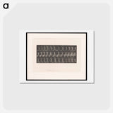 アートポストカード-Woman Bathing
 - エドワード マイブリッジ Postcard.