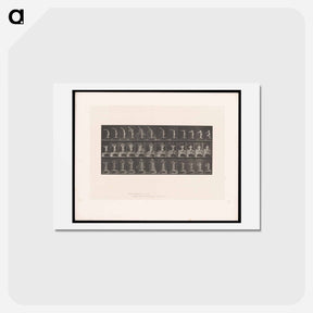 アートポストカード-Woman Bathing
 - エドワード マイブリッジ Postcard.