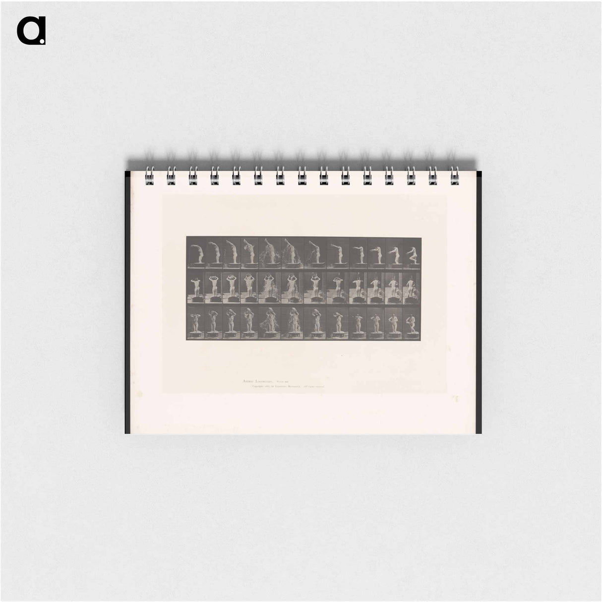 アートメモ帳-Woman Bathing
 - エドワード マイブリッジ Memo.