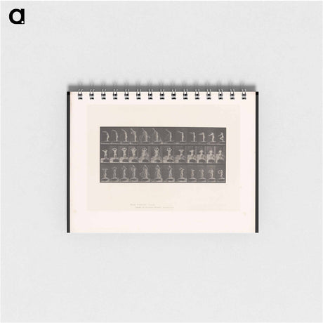 アートメモ帳-Woman Bathing
 - エドワード マイブリッジ Memo.