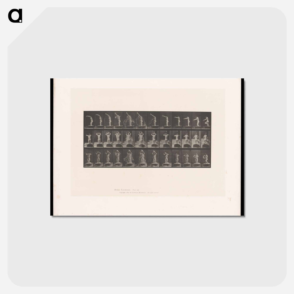 アートポストカード-Woman Bathing
 - エドワード マイブリッジ Postcard.