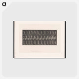 アートポストカード-Woman Bathing
 - エドワード マイブリッジ Postcard.