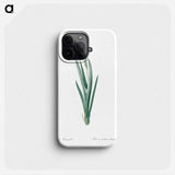 Harlequin blueflag illustration - Pierre Joseph Redouté Phone Case.