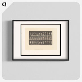 アートポスター-Draped Figure
 - エドワード マイブリッジ Poster.