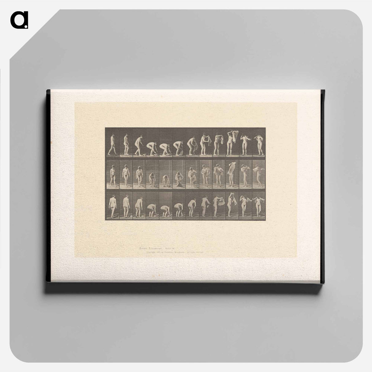 アートパネル-Draped Figure
 - エドワード マイブリッジ Canvas.