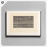 アートパネル-Draped Figure
 - エドワード マイブリッジ Canvas.