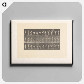 アートパネル-Draped Figure
 - エドワード マイブリッジ Canvas.