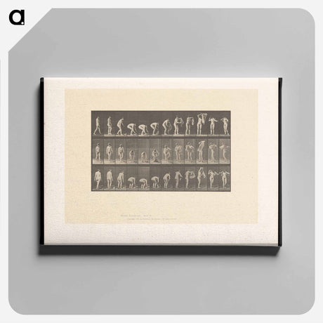 アートパネル-Draped Figure
 - エドワード マイブリッジ Canvas.