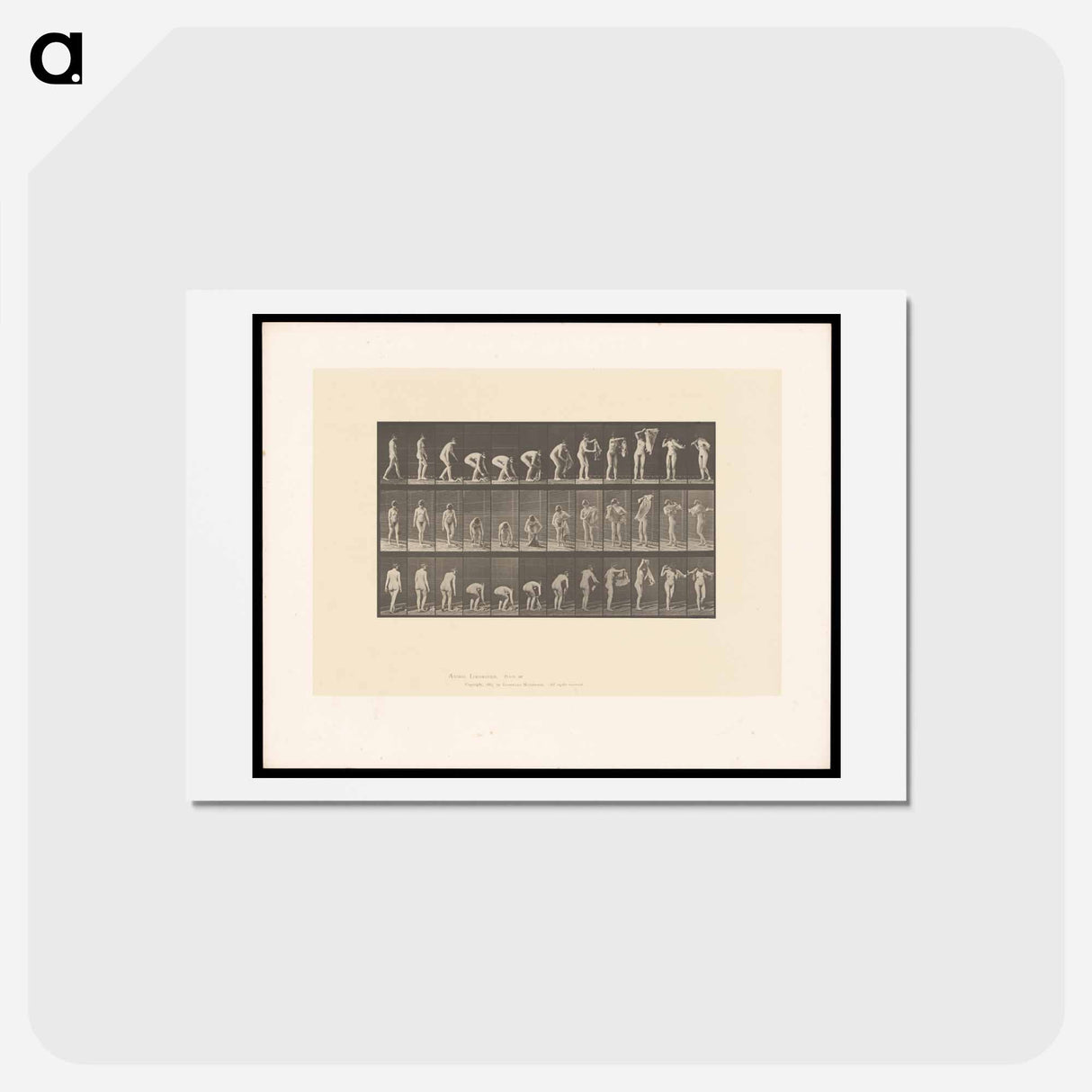 アートポストカード-Draped Figure
 - エドワード マイブリッジ Postcard.