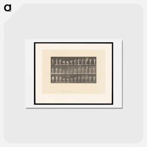 アートポストカード-Draped Figure
 - エドワード マイブリッジ Postcard.