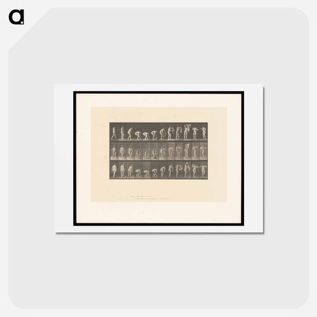 アートポストカード-Draped Figure
 - エドワード マイブリッジ Postcard.