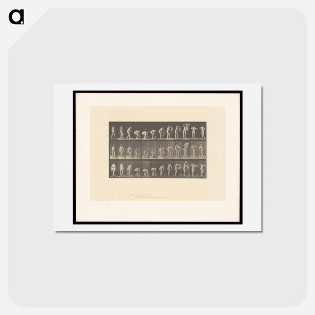 アートポストカード-Draped Figure
 - エドワード マイブリッジ Postcard.