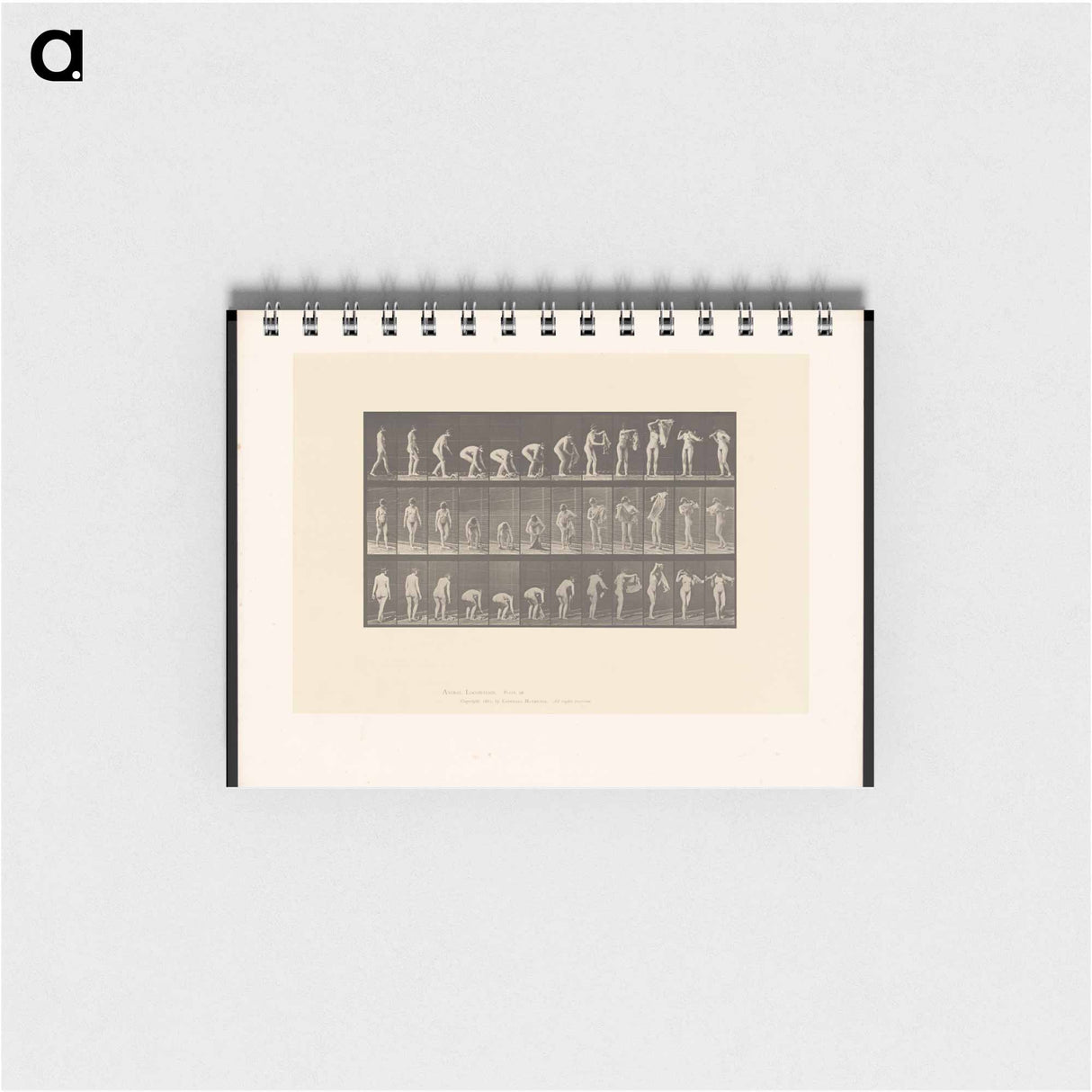 アートメモ帳-Draped Figure
 - エドワード マイブリッジ Memo.