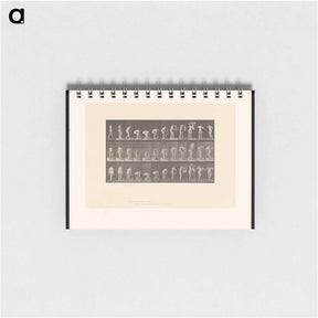 アートメモ帳-Draped Figure
 - エドワード マイブリッジ Memo.