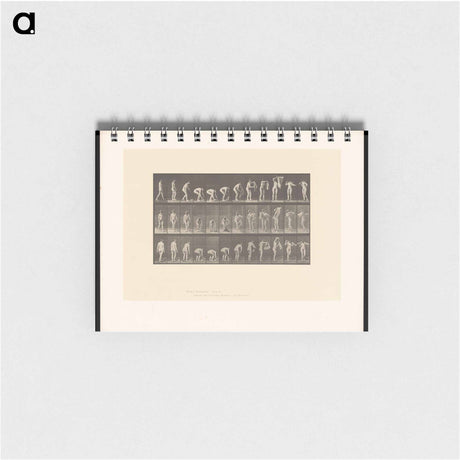 アートメモ帳-Draped Figure
 - エドワード マイブリッジ Memo.