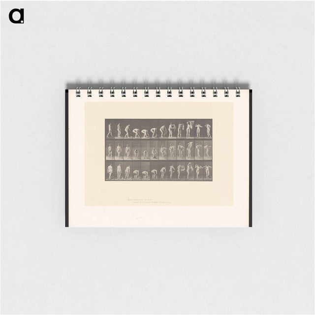 アートメモ帳-Draped Figure
 - エドワード マイブリッジ Memo.