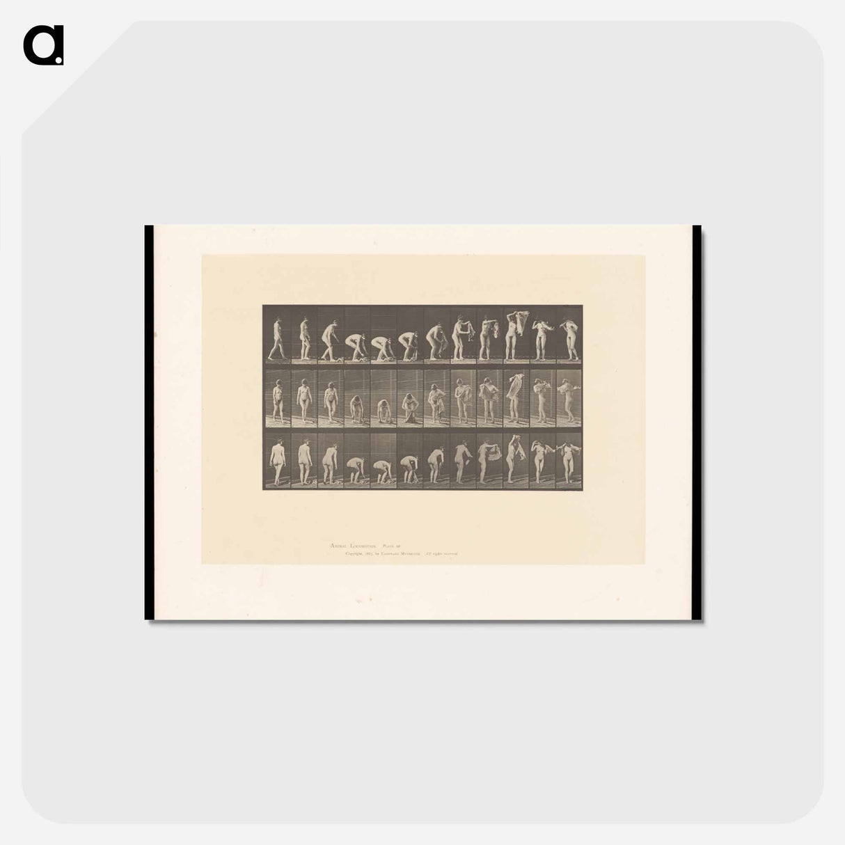 アートポストカード-Draped Figure
 - エドワード マイブリッジ Postcard.