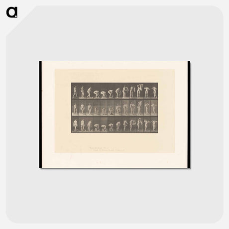 アートポストカード-Draped Figure
 - エドワード マイブリッジ Postcard.