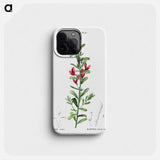Cocky's tongues - Pierre Joseph Redouté Phone Case.