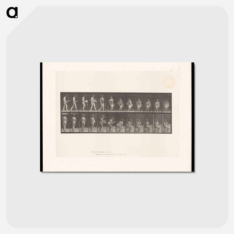 アートポストカード-Woman Fanning Herself
 - エドワード マイブリッジ Postcard.