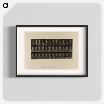 Naked Woman Walking
 - エドワード マイブリッジ Poster.