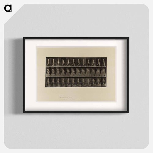 Naked Woman Walking
 - エドワード マイブリッジ Poster.