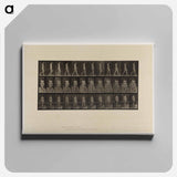 アートパネル-Naked Woman Walking
 - エドワード マイブリッジ Canvas.