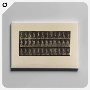 アートパネル-Naked Woman Walking
 - エドワード マイブリッジ Canvas.