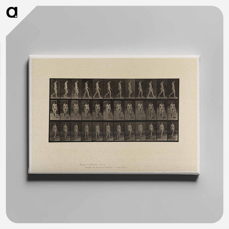 アートパネル-Naked Woman Walking
 - エドワード マイブリッジ Canvas.