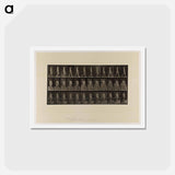 アートポストカード-Naked Woman Walking
 - エドワード マイブリッジ Postcard.