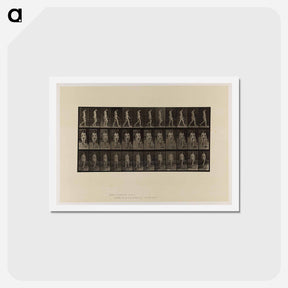 アートポストカード-Naked Woman Walking
 - エドワード マイブリッジ Postcard.