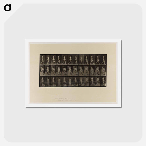 Naked Woman Walking
 - エドワード マイブリッジ Postcard.