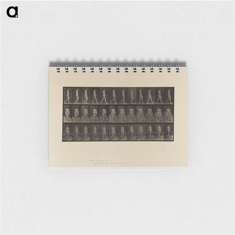 アートメモ帳-Naked Woman Walking
 - エドワード マイブリッジ Memo.