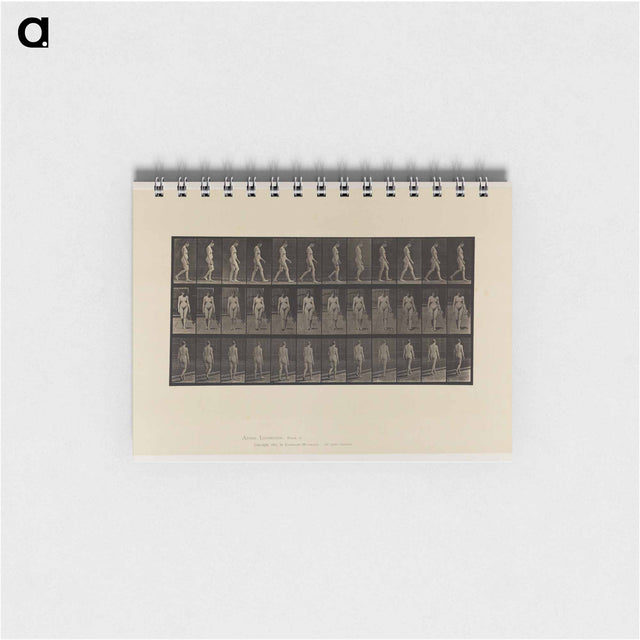 アートメモ帳-Naked Woman Walking
 - エドワード マイブリッジ Memo.