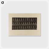 アートポストカード-Naked Woman Walking
 - エドワード マイブリッジ Postcard.