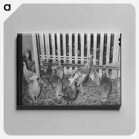 アートパネル-Chili Harvest, Taos County
 - ラッセル リー Canvas.
