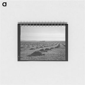 アートメモ帳-Untitled photo - ドロテア ラング Memo.